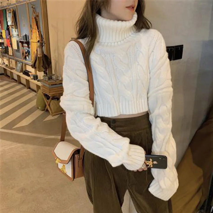 Women Turtleneck Sweater Loose  Elegant Warm Knitted Pullovers Fashion Solid Tops Knitwear Jumper