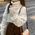 Women Turtleneck Sweater Loose  Elegant Warm Knitted Pullovers Fashion Solid Tops Knitwear Jumper