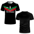 T-shirts de football palestiniens pour adultes et enfants, uniformes de football légers et de luxe imprimés numériquement, t-shirts d'été pour hommes avec drapeau palestinien