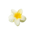 Hawaiian Gradient Hair Clips Flower Hair Claws  Hairpin for Women Hair Accessories